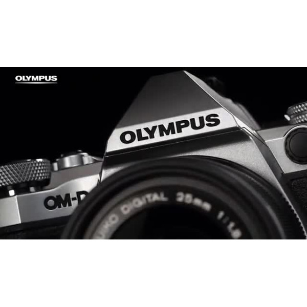 Цифровая системная фотокамера OLYMPUS E-M5 Mark II 14-150 II KIit Silver/Black